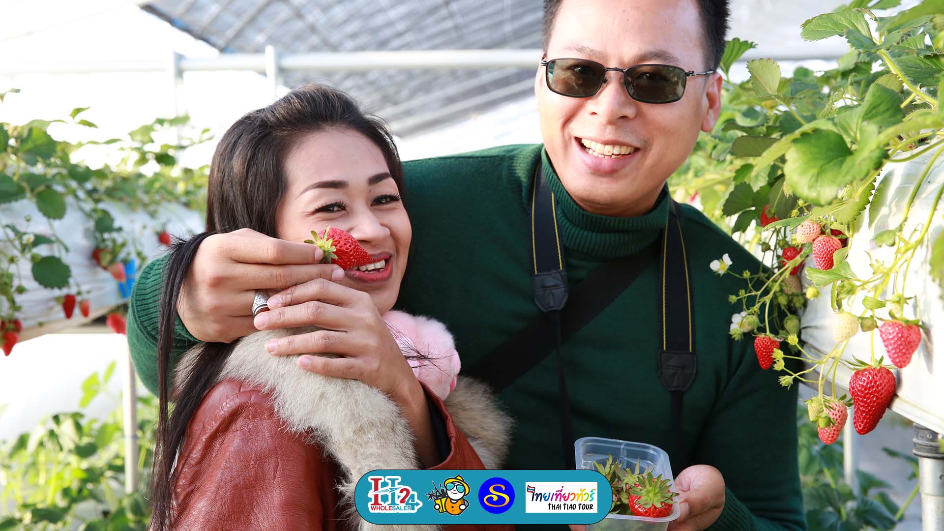 ทริปกรุ๊ปญี่ปุ่น โตเกียว เก็บสตอเบอรี่ ชิราคาวาโก๊ะ ทริปนี้มีตากล้องไปถ่ายรูป